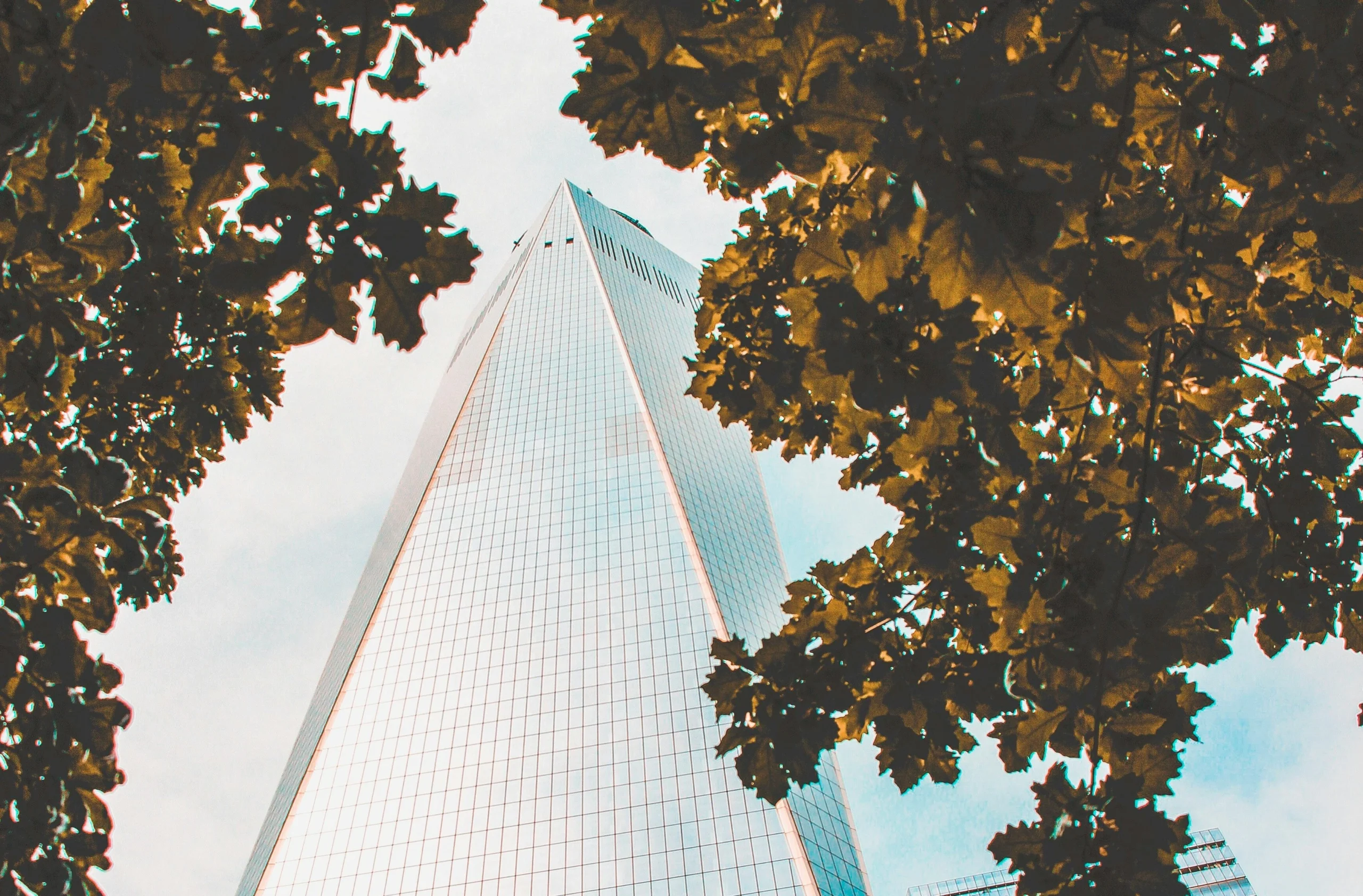 How to Increase Your Chances of Making a Successful Commercial Real Estate Investment in Melbourne