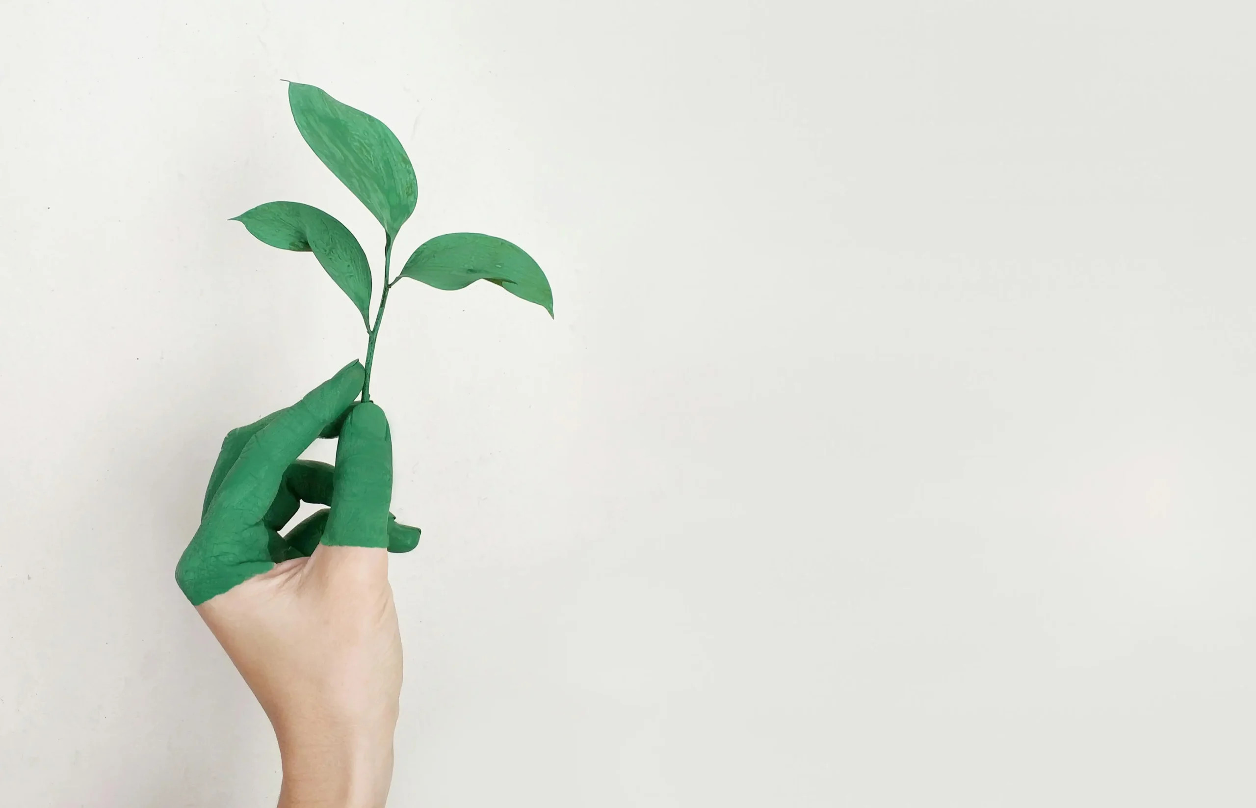 The Guide for Sustainability for Commercial Real Estate Owners